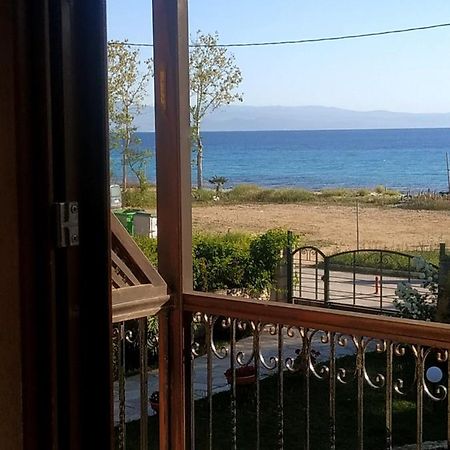 Studios Galanis Άφυτος Εξωτερικό φωτογραφία