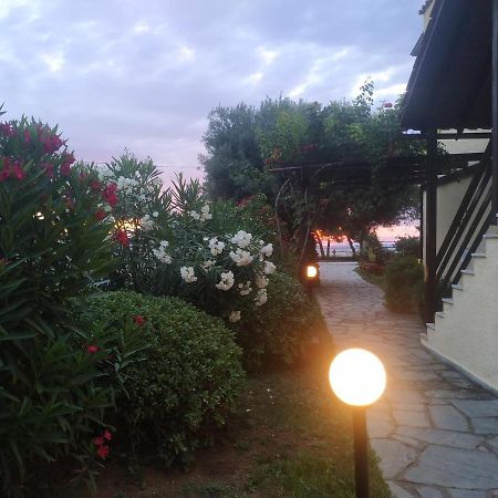 Studios Galanis Άφυτος Εξωτερικό φωτογραφία