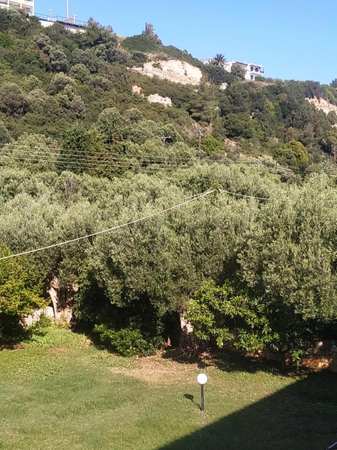 Studios Galanis Άφυτος Εξωτερικό φωτογραφία