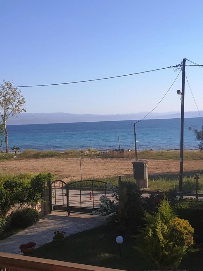 Studios Galanis Άφυτος Εξωτερικό φωτογραφία
