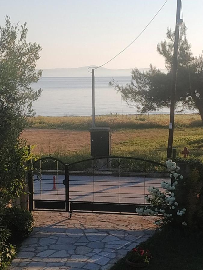 Studios Galanis Άφυτος Εξωτερικό φωτογραφία