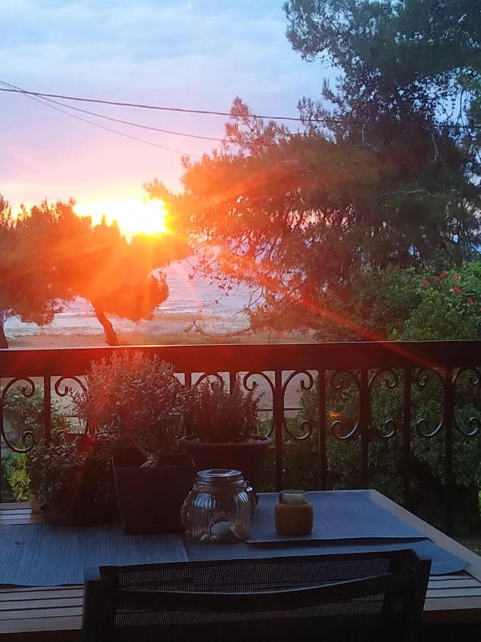 Studios Galanis Άφυτος Εξωτερικό φωτογραφία